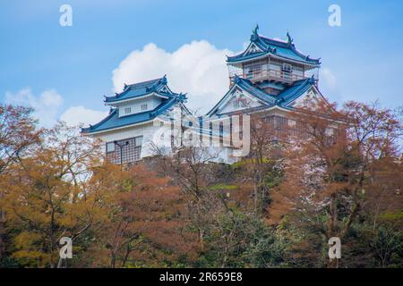 Le grand et petit garde du château d'Ono Banque D'Images