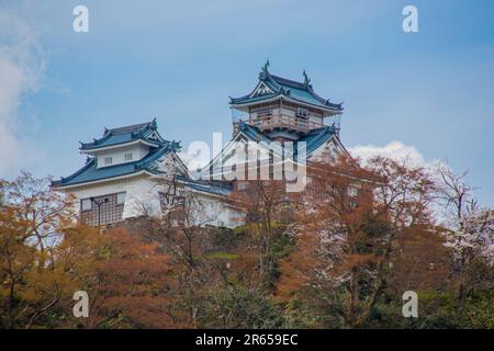 Le grand et petit garde du château d'Ono Banque D'Images