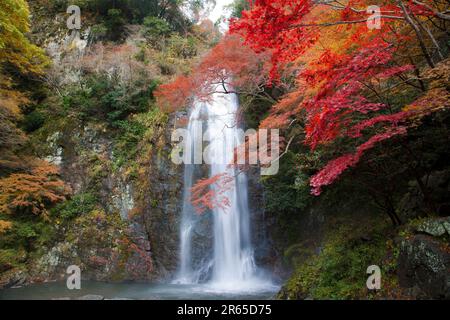 Chute d'eau Minoh en automne Banque D'Images