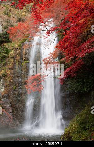 Chute d'eau Minoh en automne Banque D'Images