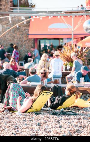 Un groupe de jeunes adultes se détendant sur la plage au Worthing by Coast Cafe. Banque D'Images