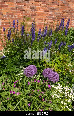 Boscobel House et le Royal Oak, Kiddemore Green Royaume-Uni Angleterre GB vues sur le jardin Banque D'Images