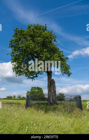 Boscobel House et le Royal Oak, Kiddemore Green Royaume-Uni Angleterre GB Banque D'Images