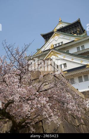 Château d'Osaka au printemps Banque D'Images