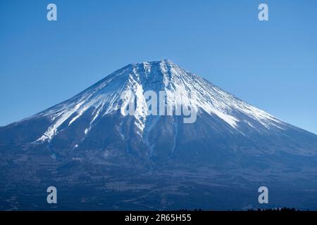 Fuji de Tanukiko Banque D'Images