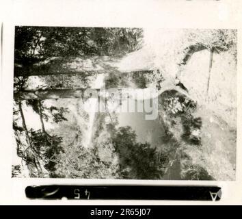 SS Photographer Baumann, Division Totenkopf, Russie 1941 unité de reconnaissance à roues, photos de motos, fusils de char, tombes, prisonniers de guerre russes et villageois, Fieseler Fi 156 Storch, chars et équipements russes détruits, construction de ponts, soldats nageant dans la rivière, équipage de mitrailleuses, équipage anti-char à canon, cérémonie de remise des prix de l'unité, Unités en mars, artillerie remorquée par demi-voies, unité d'entretien de véhicules automobiles, activités de Kriegsberichter, boulangerie de campagne, hôpital de campagne, réapprovisionnement en air par JU-52, unité de projecteurs antiaériens, bureau de poste de campagne, et un Focke-Wulf 189 (Eagle-Owl) en vol. IMA Banque D'Images