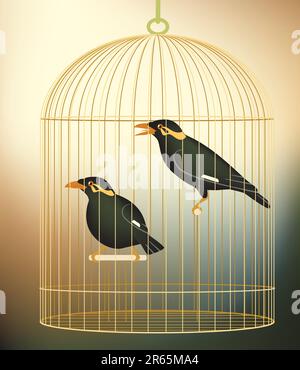 Illustration vectorielle modifiable d'une paire d'oiseaux en cage hill myna faite avec filets de dégradé Illustration de Vecteur