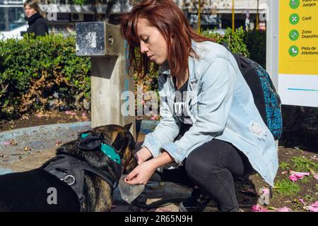 jeune femme colombienne latine qui s'accroupe dans le parc donnant de l'eau à son chien dans un sac en plastique, concept d'animal de compagnie, espace de copie. Banque D'Images