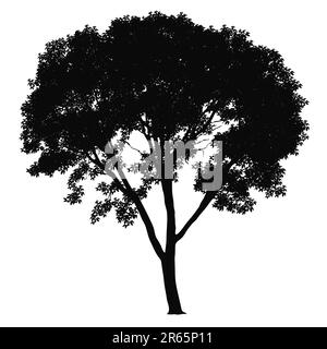 Silhouette d'arbre sur fond blanc. Illustration vectorielle. Illustration de Vecteur