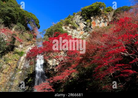 Feuilles d'automne de Minoh Great Falls Banque D'Images