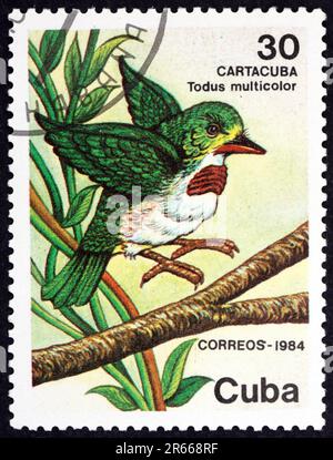 CUBA - VERS 1984 : un timbre imprimé à Cuba montre le tody cubain, todus multicolore, est une espèce d'oiseaux indigène de cuba et des îles adjacentes, vers 19 Banque D'Images