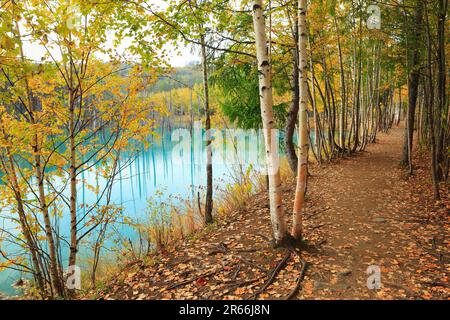 Blue Pond et feuilles d'automne Banque D'Images
