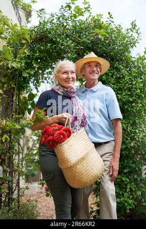 Couple senior heureux avec des fleurs marchant sous le treillis dans le jardin Banque D'Images