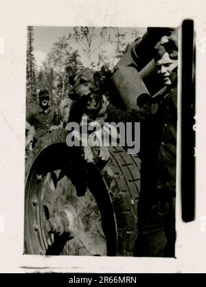 SS Photographer Blaurock, France, Finlande 1942-44 SS Soldier portraits photos, scutling de la flotte française à Toulon en novembre 1942, a capturé le canon antiaérien russe Gebirgsjäger Regiment 11 'Reinhard Heydrich' dans l'entraînement sur le terrain, les activités quotidiennes et récréatives, le défilé, les activités, l'unité d'artillerie lourde Banque D'Images