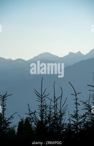 Vue sur la montagne tout en flânant autour de Villars-sur-Ollon en Suisse Banque D'Images