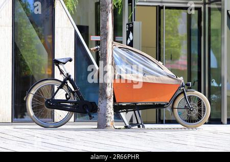 Un vélo garé à côté d'un arbre mûr sur un trottoir de la ville Banque D'Images