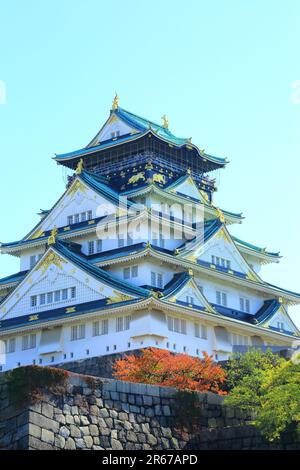 Château d'Osaka dans les feuilles d'automne Banque D'Images