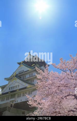 Tour du château d'Osaka et cerisiers en fleurs Banque D'Images