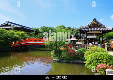 Shinsen-en vert frais Banque D'Images