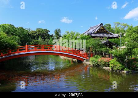 Shinsen-en vert frais Banque D'Images