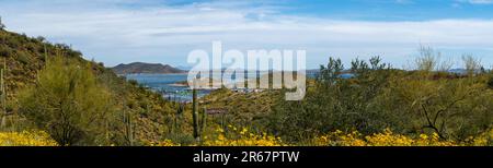 Vue sur le parc régional de Lake Pleasant, près de Phoenix, Arizona, États-Unis lors d'une belle journée de printemps. Banque D'Images