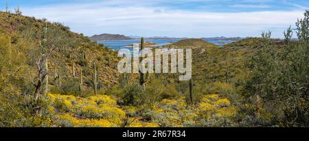 Vue sur le parc régional de Lake Pleasant, près de Phoenix, Arizona, États-Unis lors d'une belle journée de printemps. Banque D'Images