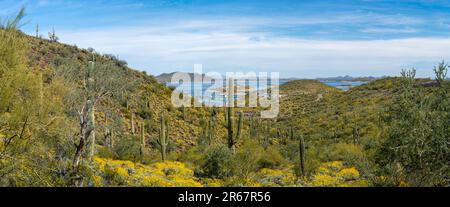 Vue sur le parc régional de Lake Pleasant, près de Phoenix, Arizona, États-Unis lors d'une belle journée de printemps. Banque D'Images