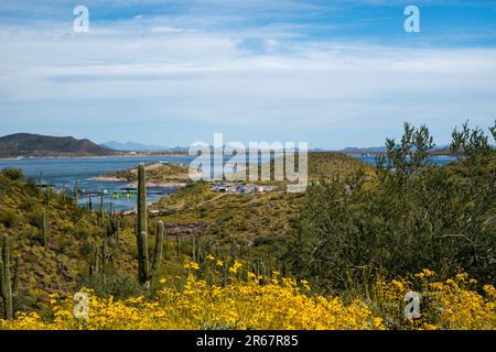 Vue sur le parc régional de Lake Pleasant, près de Phoenix, Arizona, États-Unis lors d'une belle journée de printemps. Banque D'Images