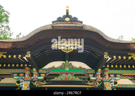 Sanctuaire Katori Jingu en vert frais Banque D'Images