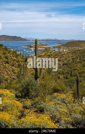 Vue sur le parc régional de Lake Pleasant, près de Phoenix, Arizona, États-Unis lors d'une belle journée de printemps. Banque D'Images