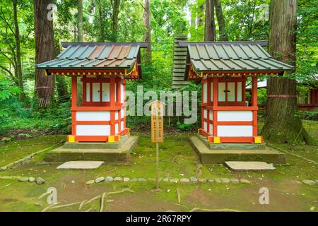 Sanctuaire Katori Jingu en vert frais Banque D'Images