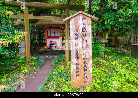 Katori Jingu au début de l'été Banque D'Images