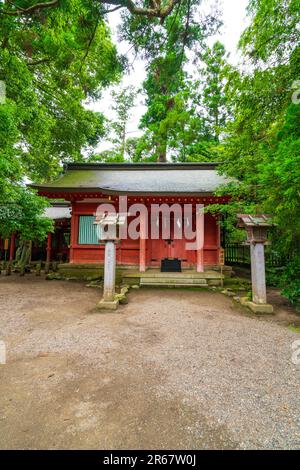 Katori Jingu au début de l'été Banque D'Images