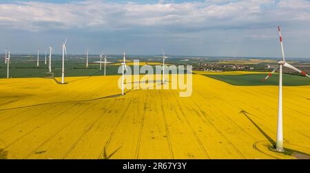 grüne Energiegewinnung Windräder in Landschaft mit Rapsfeld Banque D'Images