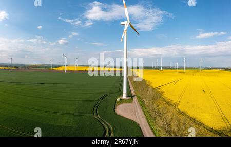 grüne Energiegewinnung Windräder in Landschaft mit Rapsfeld Banque D'Images