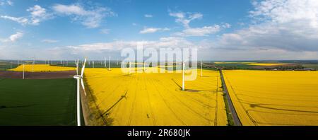 grüne Energiegewinnung Windräder in Landschaft mit Rapsfeld Banque D'Images