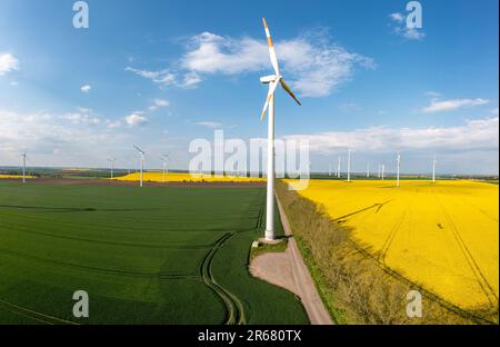 grüne Energiegewinnung Windräder in Landschaft mit Rapsfeld Banque D'Images