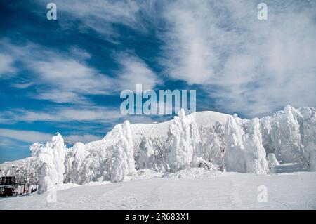 ZAO ski Resort Utopia pente Banque D'Images