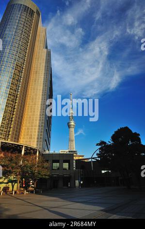 Sumida Ward Office et Tokyo Sky Tree Banque D'Images