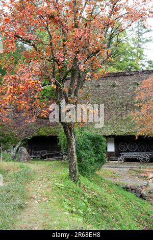 Village de Hida en automne Banque D'Images