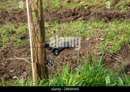 Pour les animaux, câbler la clôture sous l'électricité. Élevage, élevage de bétail dans les zones rurales. Protection contre les animaux contre les échappés. Banque D'Images