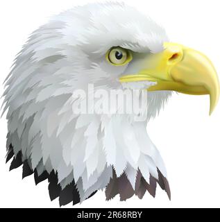 Illustration d'une tête d'aigle de profil. Illustration de Vecteur