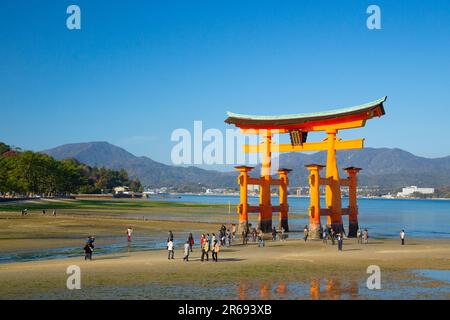 Otorii (Grand porte) de Miyajima Banque D'Images