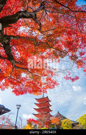 Pagode de cinq étages en automne Banque D'Images