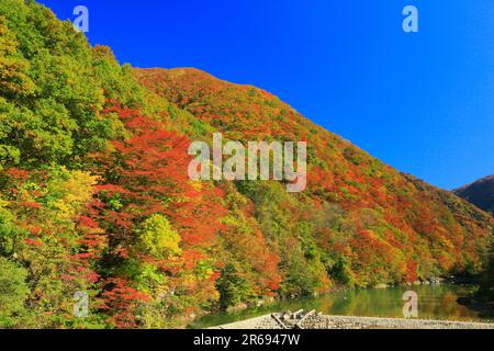 Feuilles d'automne dans la vallée de Dakigaeri Banque D'Images