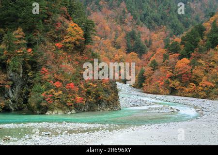 Gorge de Kurobe dans les feuilles d'automne Banque D'Images