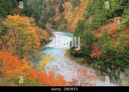 Gorge de Kurobe dans les feuilles d'automne Banque D'Images