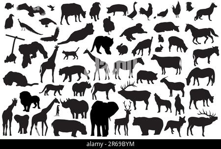 les silhouettes vectorielles de différents animaux sauvages et domestiques peuvent être mises à l'échelle à n'importe quelle taille Illustration de Vecteur