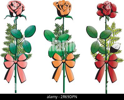 trois petits bouquets de roses décorés de rubans, illustrations isolées Illustration de Vecteur