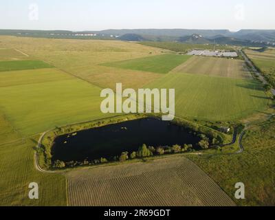 Vue aérienne sur un lac entouré d'un champ de blé vert à la campagne. Champ de blé soufflant dans le vent comme la mer verte. Épis d'orge dans la nature Banque D'Images